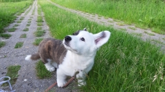 20190531_182644