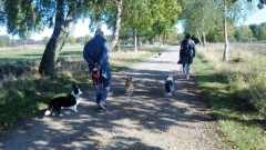 Familienspaziergang in der Heide