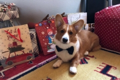 Weihnachten
