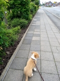 IMG_20190522_140227705-2